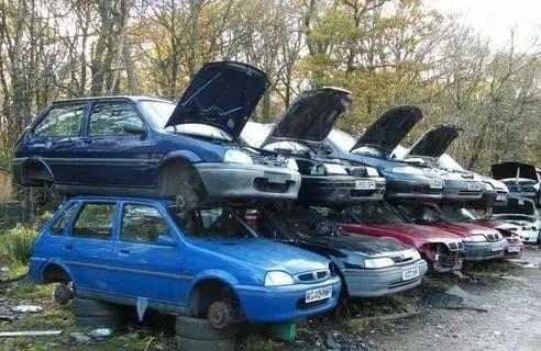 1704101938947494.jpeg c4f8e9451cbc6fb7b52e1a669cc4177e.jpeg